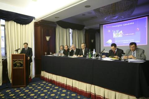 IMG_8439.JPG