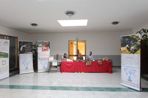 Pomeriggio 25 maggio 2017 - 241.jpg