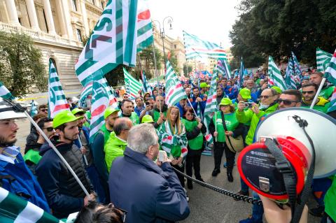 DSC_3684.jpg