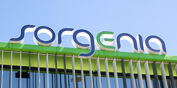 Gruppo Sorgenia: Incontro PdR consuntivazione 2024 cassa (2025)