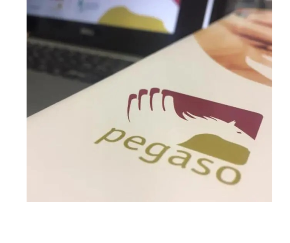 Pegaso -  Insediamento assemblea dei Delegati ed elezione CdA e collegio dei Sindaci