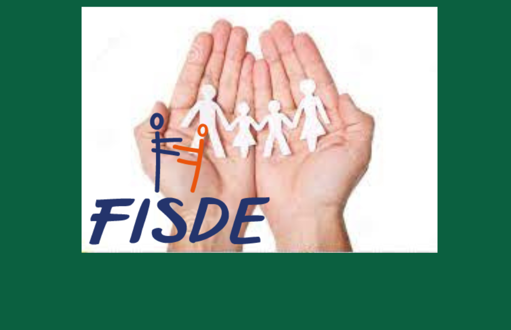 FISDE - Attività e iniziative