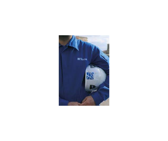TERNA  - Verifica sull'applicazione del percorso Multiskill.