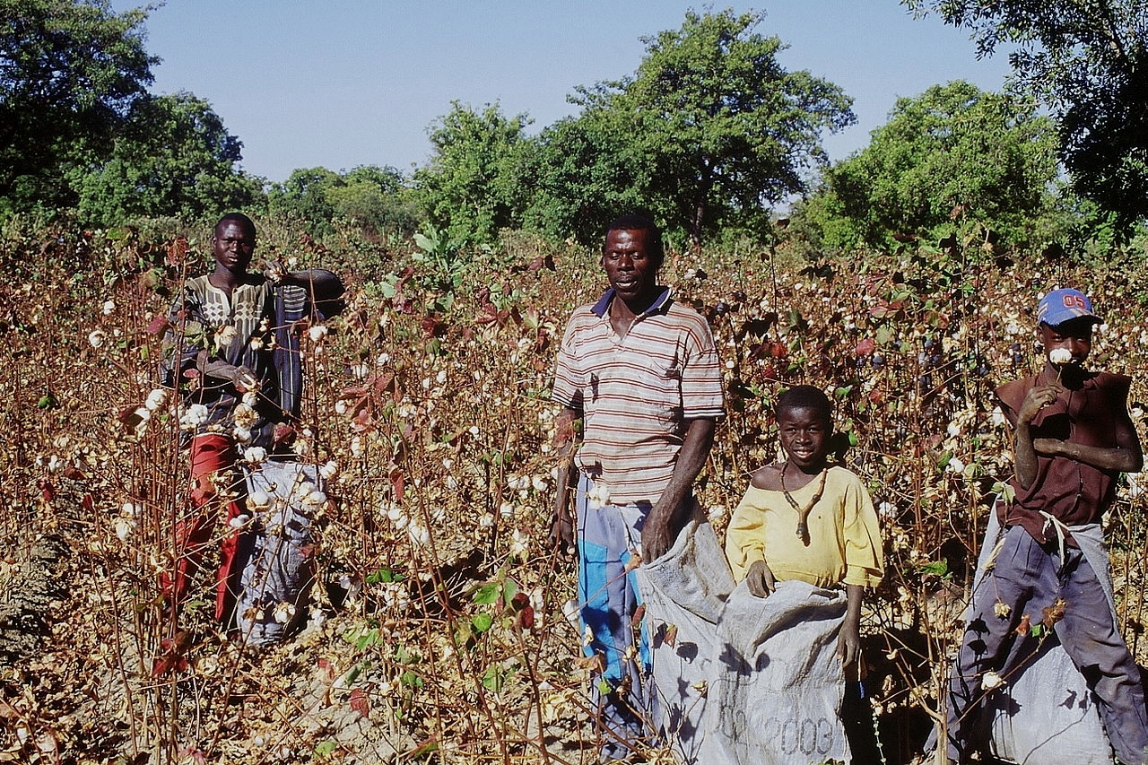 La FLAEI e il progetto di sostegno e sensibilizzazione a favore dei lavoratori del cotone in Benin