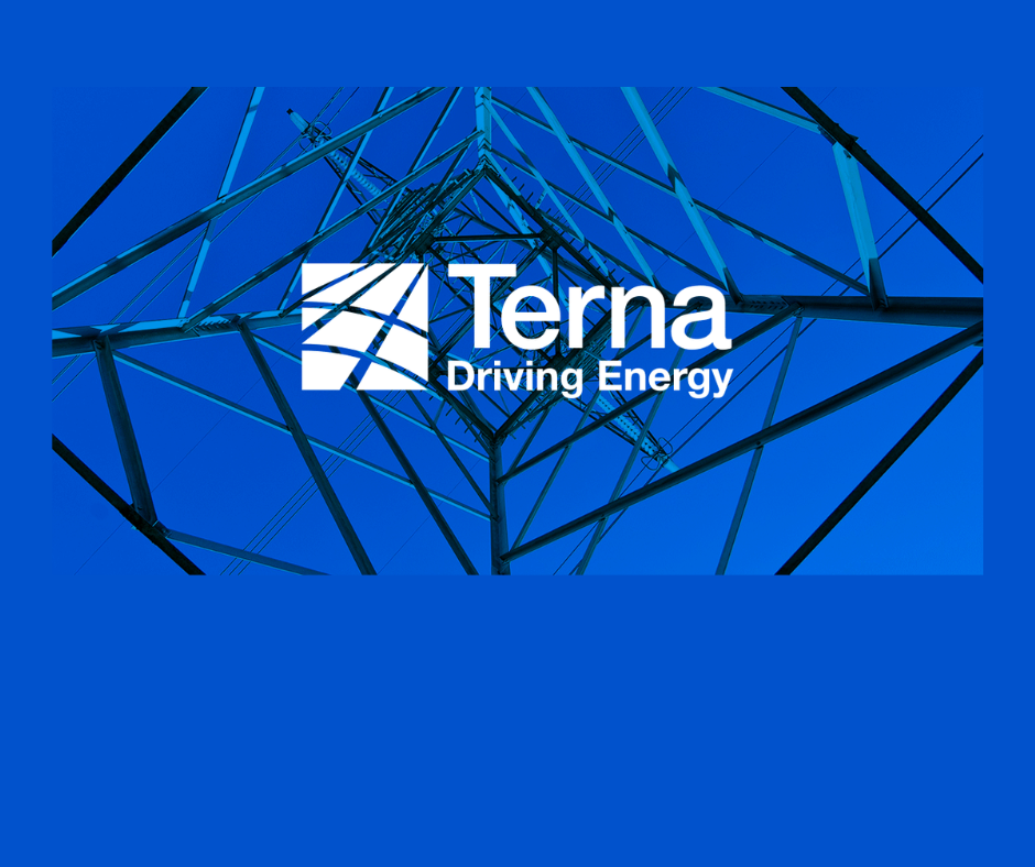TERNA   Riprende il confronto a tutto campo