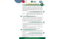 ENEL - LA TUA VOCE E' LA TUA FORZA - Pubblicazione n. 6