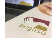 PEGASO - Assemblea dei Delegati e iniziative di comunicazione